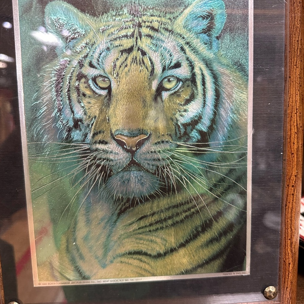 Tiger Hide Bookcase